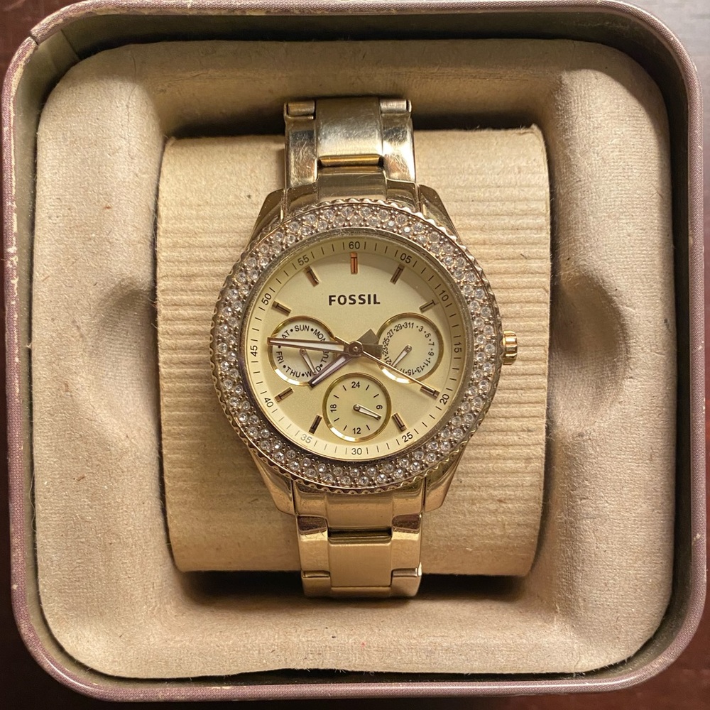 Fossil Watch